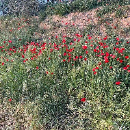 Apartament Antico Borgo San Quirico dʼOrcia Zewnętrze zdjęcie